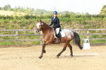 SBM_000198