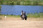 WJ6_8655