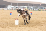 SBM_004331
