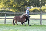 S15 - Condition & Turnout In Hand portfolio