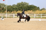 SBM_009185
