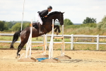 SBM_010487