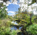 Charles, Throw me a line.