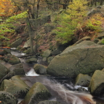 Padley Gorge Autumn