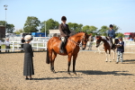SBM_02264