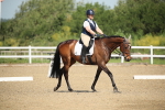 SBM_007928