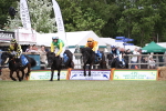 SBM_10041