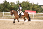 SBM_008662
