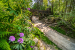 Seven Arch Bridge