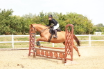 SBM_003996