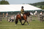 SBM_06889