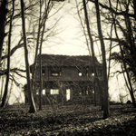 'Pavillion' Guist