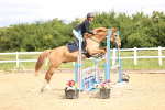 SBM_006375