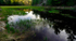 haymarshspring20-1l