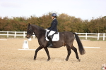 SBM_010213