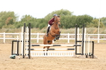 SBM_023008