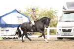 SBM_01358