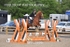 BPP_1836