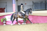 SBM_03341