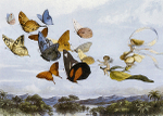 The Fairy Queen Takes An Airy Drive 27
