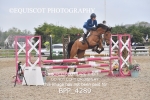 BPP_4289