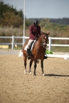 SBM_005827