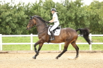 SBM_001620