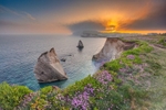 z4432 Thrift Sunset Freshwater Bay