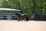 WJ6_0666