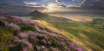 Summer Glow - Roseberry Topping