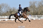 Cls 20 BD Young Pony 5YO portfolio