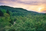 Valley View