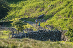 Langstrath Fell Race-280