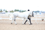 SBM_05685