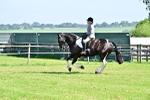SBM_12146