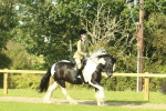 SBM_67453