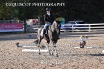 BPP_9421