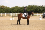 SBM_005382