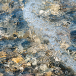 SPLASH #32 - BRUCE COUNTY