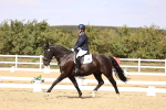 SBM_015036