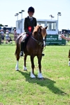 SBM_08094