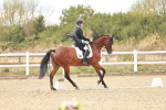 SBM_007289