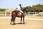 SBM_006679