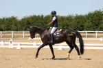 SBM_002808