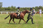 IMG_2528