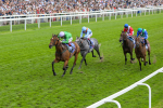 240824-Race 3-Breege-8972
