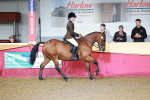 Class 102 - Equitation (Best Rider) Adult portfolio