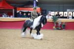 SBM_06262