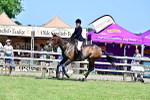 SBM_18149