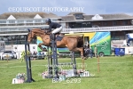 BPP_6293